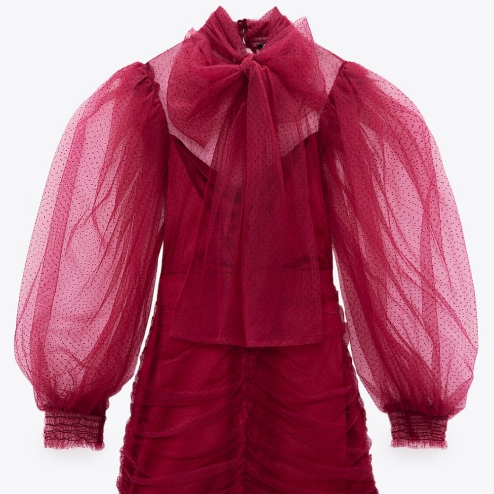 ZARA | Bloggers Fave Tulle Swiss Dot Dress Fuchsia - Picture 11 of 16